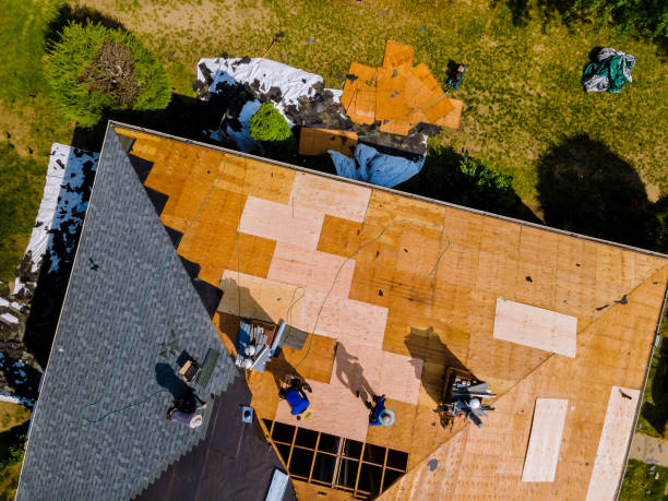 Best Roof Leak Repair  in Hinckley, IL