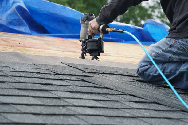 Best Roof Gutter Cleaning  in Hinckley, IL