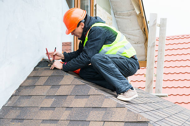 Best Metal Roofing Contractor  in Hinckley, IL